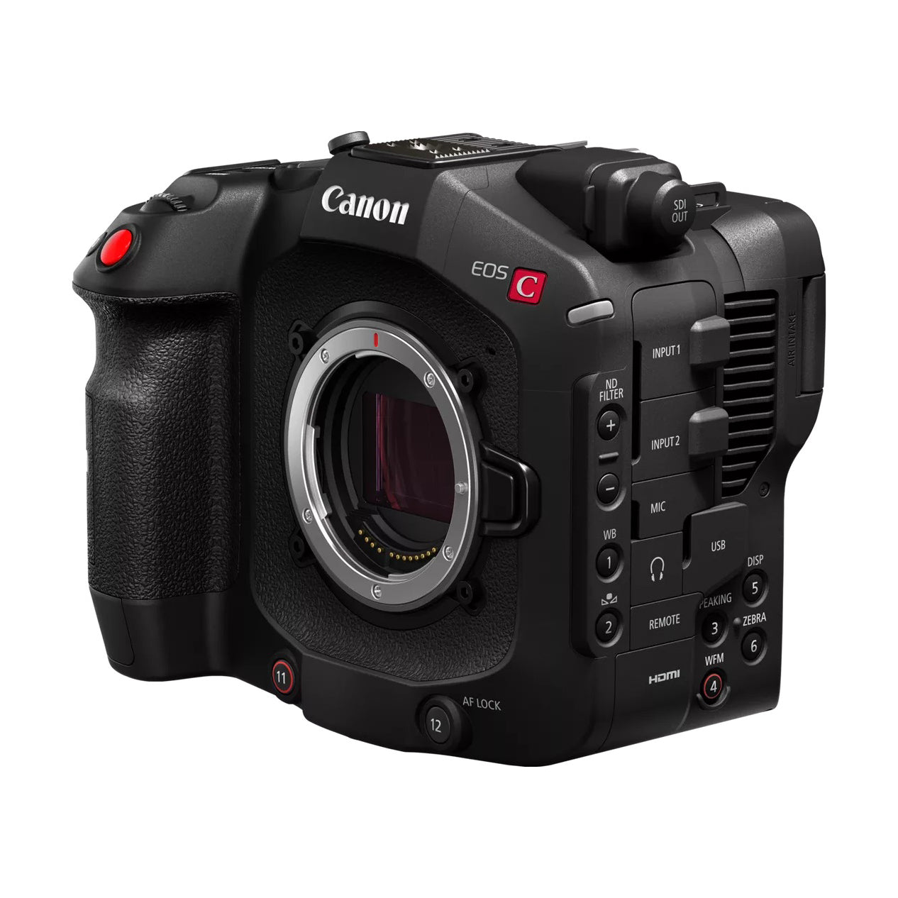 Canon EOS C80 body