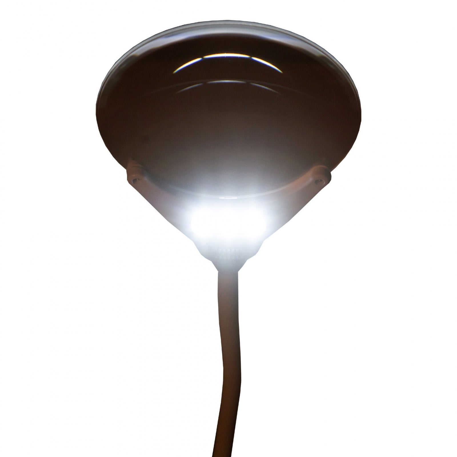Levenhuk Zeno Lamp ZL13 lente d'ingrandimento