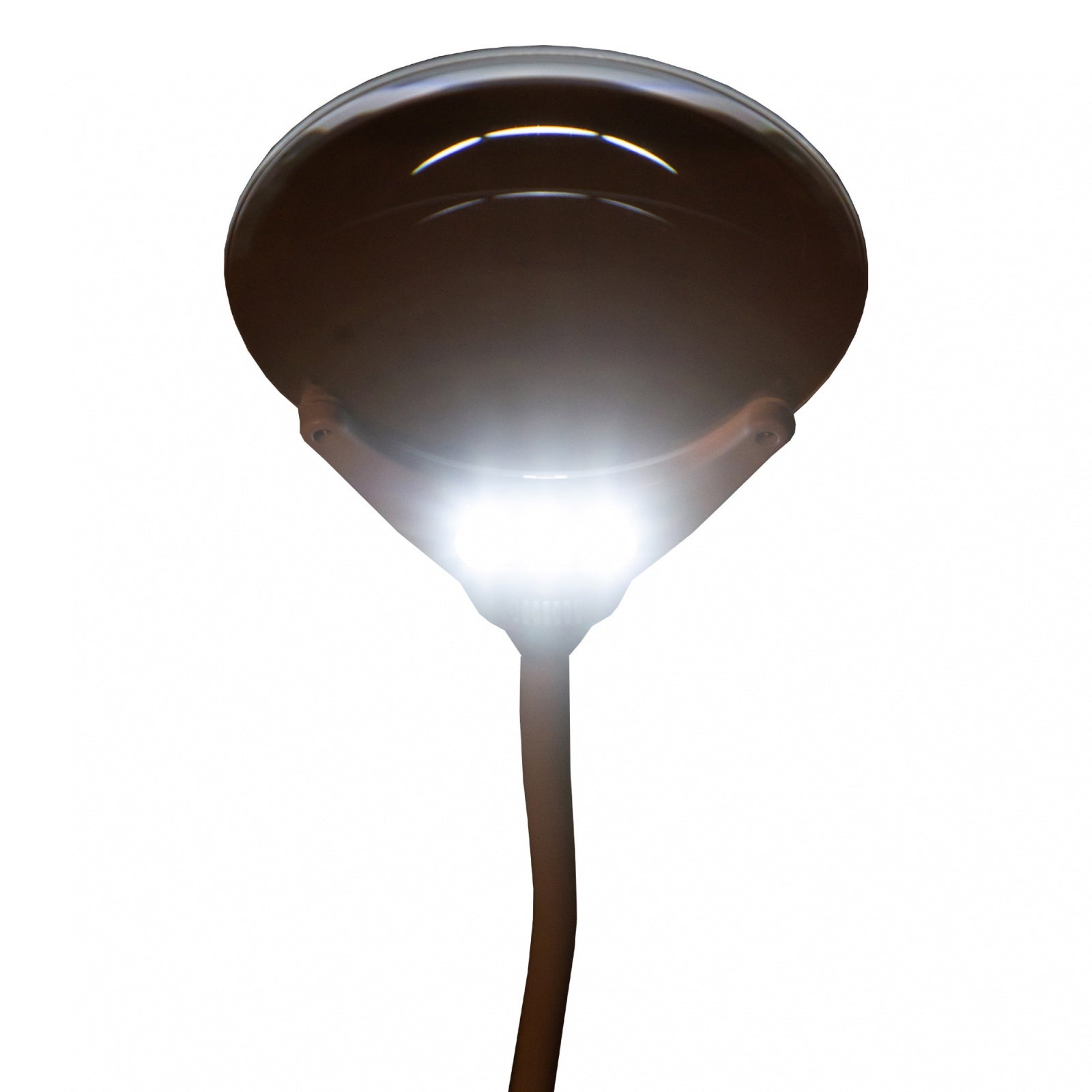 Levenhuk Zeno Lamp ZL7 lente d’ingrandimento