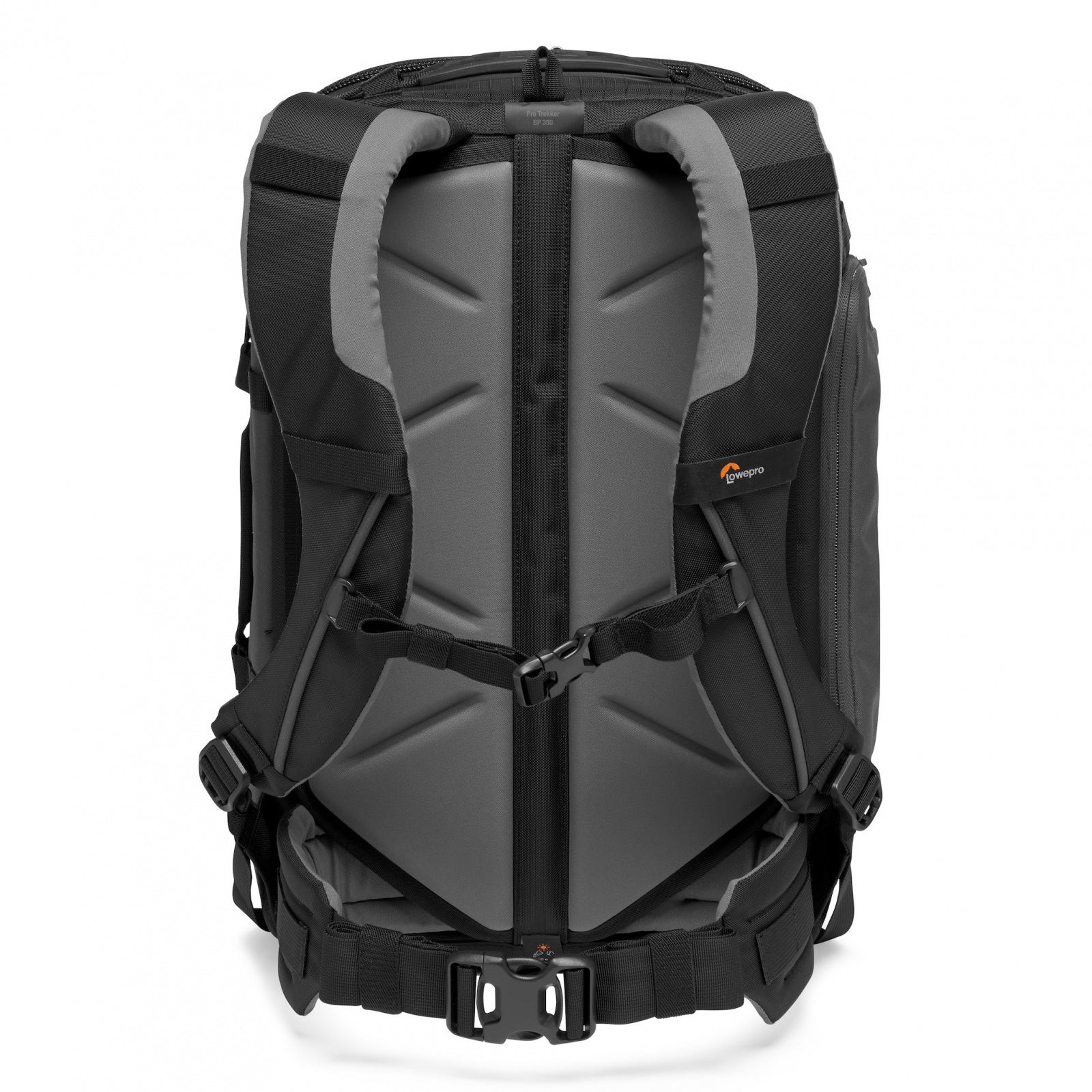 Lowepro Pro Trekker BP 350 AW II Grigio