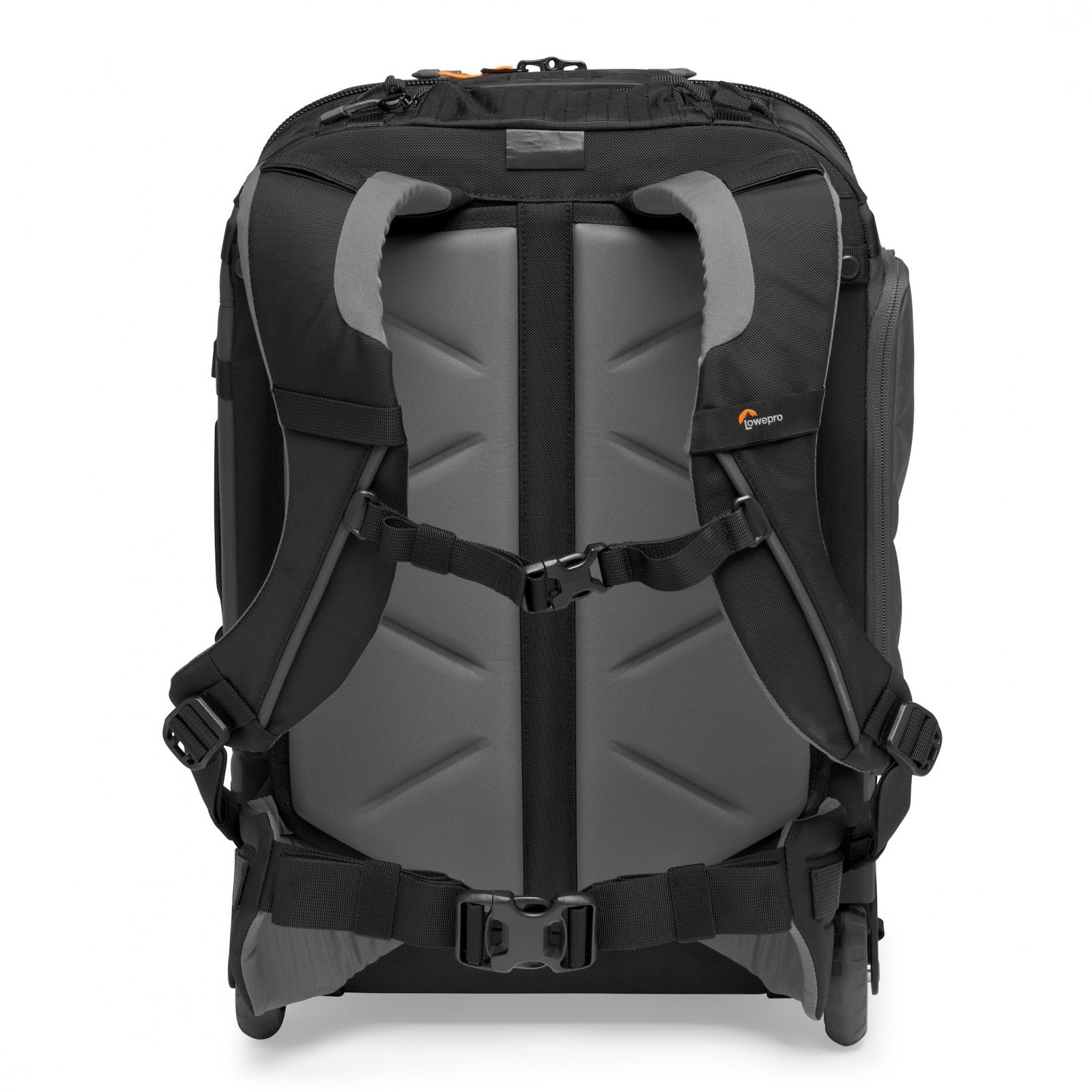 Lowepro Pro Trekker RLX 450 AW II Grigio