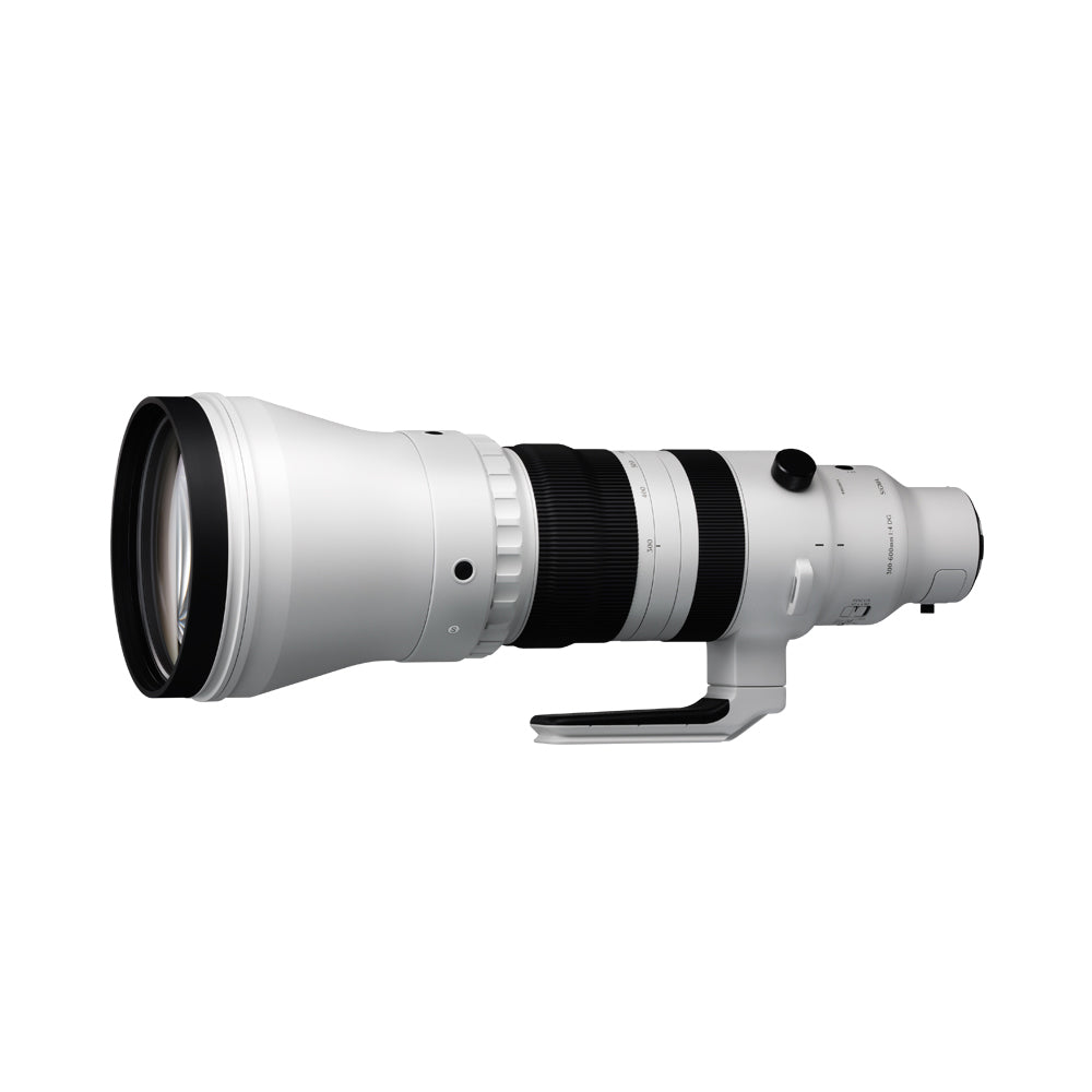 Sigma 300-600mm f/4 DG OS Sport Sony E-Mount